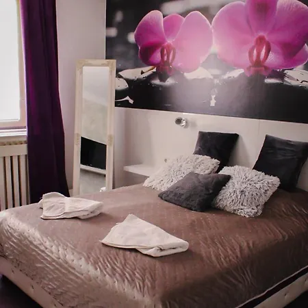 Apartamento Vladana Deluxe App 2